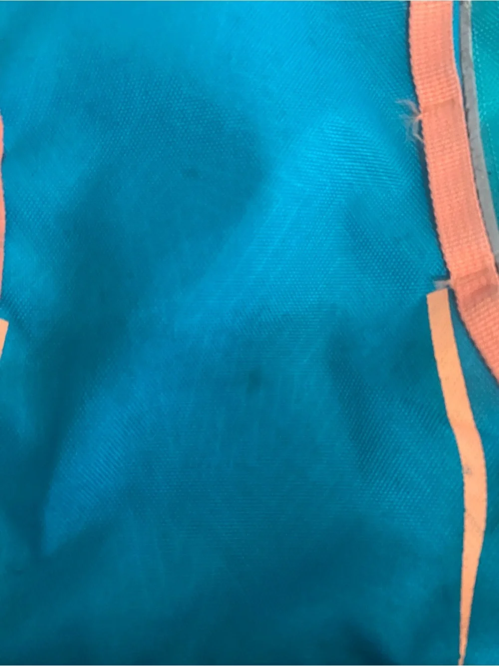 Land’s End Teal and Coral Women’s Everyday Backpack - Lightweight Travel Bag